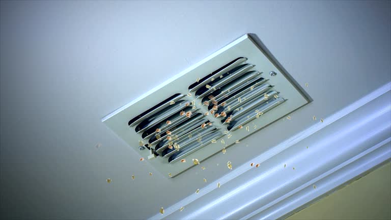 Best Best Air Duct Cleaning Company  in Elkhart, TX