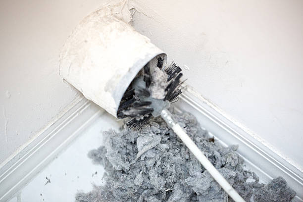 Best Professional Duct Cleaning Services  in Elkhart, TX